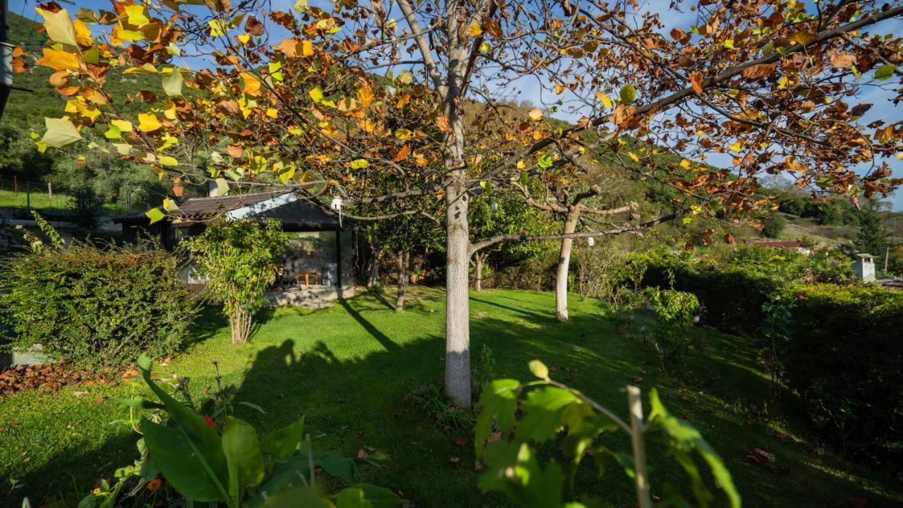 Lago Village House Kalampáka Dış mekan fotoğraf